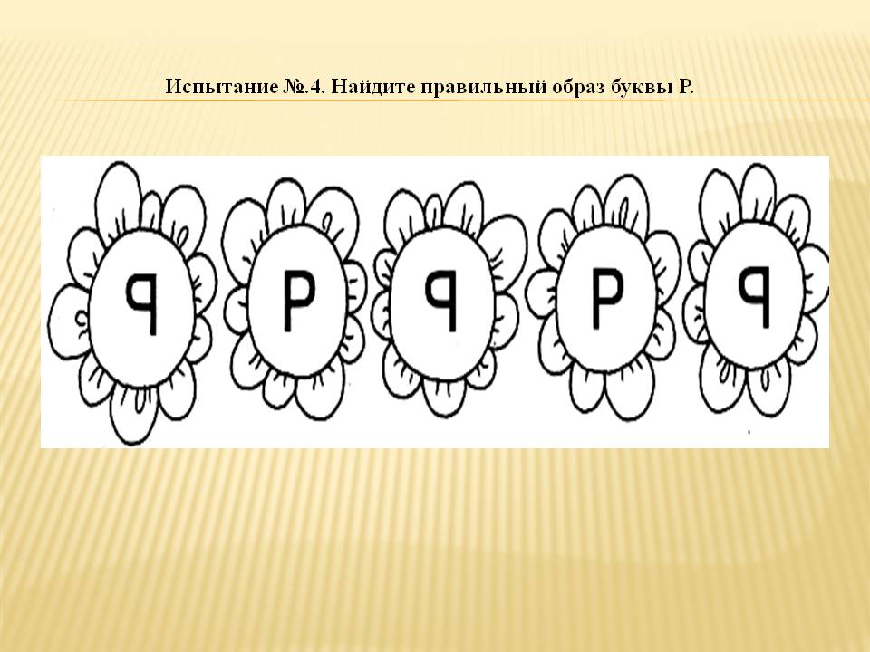 Какое слово объединяет представленные ниже изображения