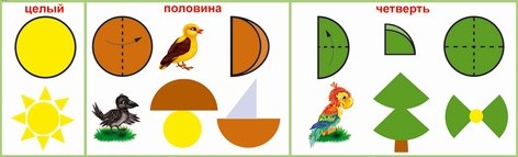 2 половины целого