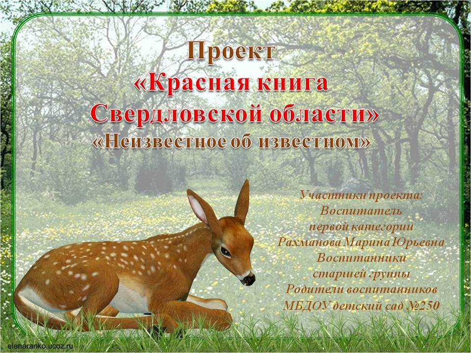 Реферат: Фауна и растительность Свердловской области