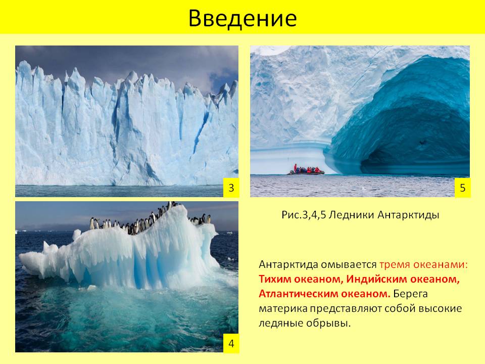 Причины сурового климата антарктиды. Антарктида (материк). Как открывалась Антарктида. Какими ледниками покрыта Антарктида. Как произошло открытие антарктического океана.